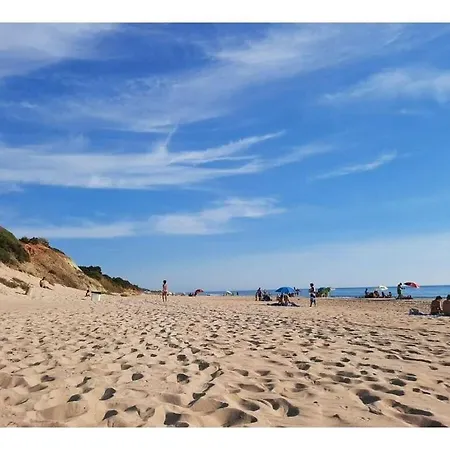 0524 La Gaviota Comfortable Hotel Conil De La Frontera